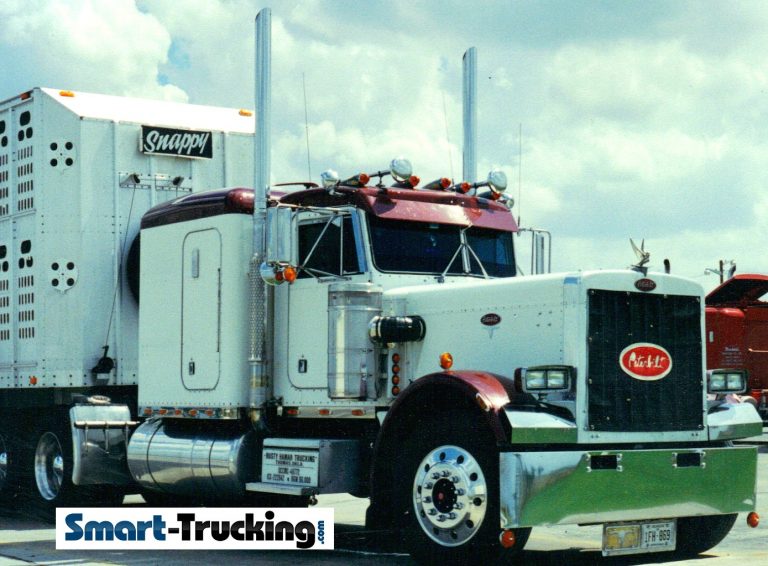 5 Reasons Truckers Love the Classic 359 Peterbilt Truck